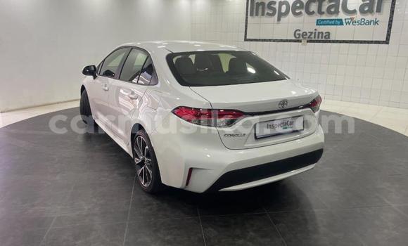 Buy Used Toyota Corolla White Car in Beitbridge in Matabeleland South Buy Used Toyota Corolla White Car in Beitbridge in Matabeleland South