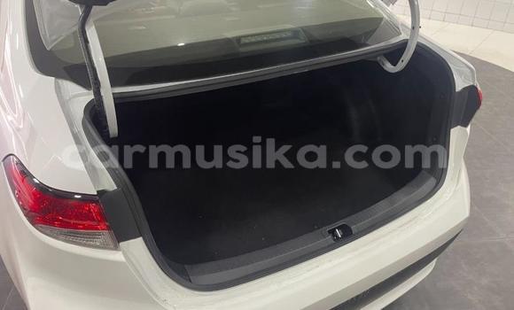 Buy Used Toyota Corolla White Car in Beitbridge in Matabeleland South Buy Used Toyota Corolla White Car in Beitbridge in Matabeleland South
