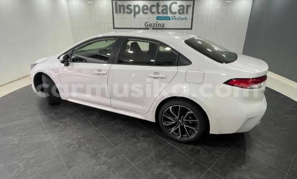 Buy Used Toyota Corolla White Car in Beitbridge in Matabeleland South Buy Used Toyota Corolla White Car in Beitbridge in Matabeleland South