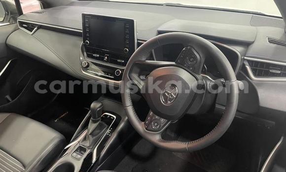 Buy Used Toyota Corolla White Car in Beitbridge in Matabeleland South Buy Used Toyota Corolla White Car in Beitbridge in Matabeleland South