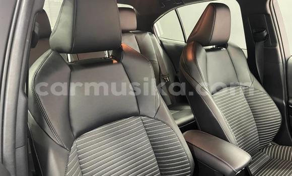 Buy Used Toyota Corolla White Car in Beitbridge in Matabeleland South Buy Used Toyota Corolla White Car in Beitbridge in Matabeleland South