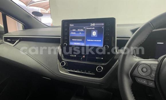 Buy Used Toyota Corolla White Car in Beitbridge in Matabeleland South Buy Used Toyota Corolla White Car in Beitbridge in Matabeleland South