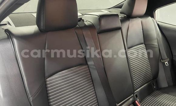 Buy Used Toyota Corolla White Car in Beitbridge in Matabeleland South Buy Used Toyota Corolla White Car in Beitbridge in Matabeleland South