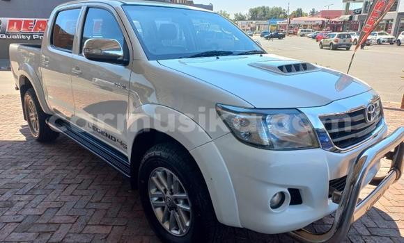 Tenga Tsaru Toyota Hilux Chena Mota in Beitbridge in Matabeleland South Tenga Tsaru Toyota Hilux Chena Mota in Beitbridge in Matabeleland South