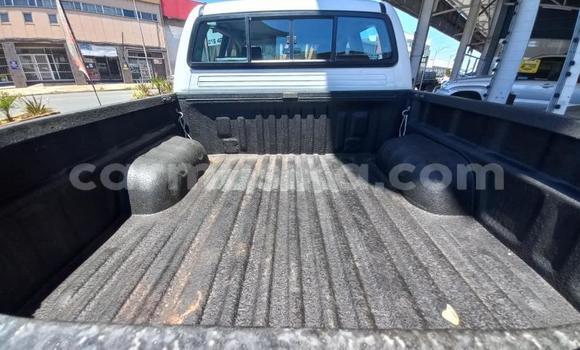 Tenga Tsaru Toyota Hilux Chena Mota in Beitbridge in Matabeleland South Tenga Tsaru Toyota Hilux Chena Mota in Beitbridge in Matabeleland South