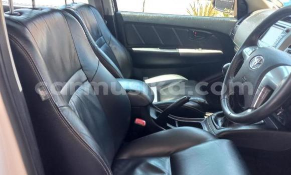 Tenga Tsaru Toyota Hilux Chena Mota in Beitbridge in Matabeleland South Tenga Tsaru Toyota Hilux Chena Mota in Beitbridge in Matabeleland South