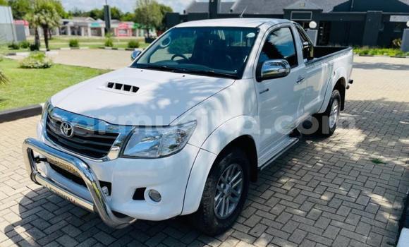 Tenga Tsaru Toyota Hilux Chena Mota in Beitbridge in Matabeleland South