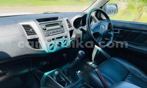 Tenga Tsaru Toyota Hilux Chena Mota in Beitbridge in Matabeleland South Tenga Tsaru Toyota Hilux Chena Mota in Beitbridge in Matabeleland South