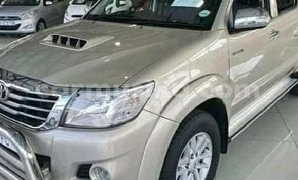 Tenga Tsaru Toyota Hilux Sirivha Mota in Beitbridge in Matabeleland South Tenga Tsaru Toyota Hilux Sirivha Mota in Beitbridge in Matabeleland South