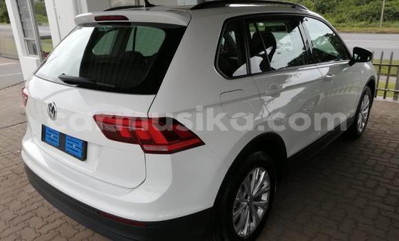 Tenga Tsaru Volkswagen Tiguan Chena Mota in Beitbridge in Matabeleland South Tenga Tsaru Volkswagen Tiguan Chena Mota in Beitbridge in Matabeleland South