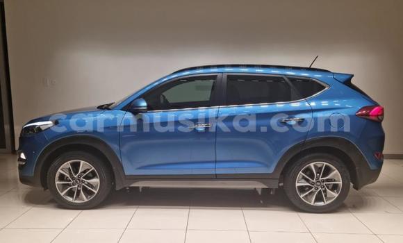 Nunua Ilio tumika Hyundai Tucson Bluu Gari ndani ya Beitbridge nchini Matabeleland Kusini