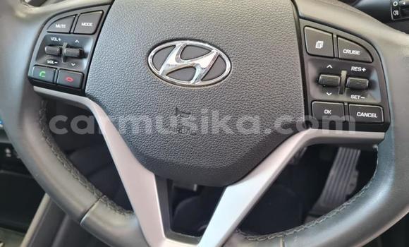 Tenga Tsaru Hyundai Tucson Bhuruu Mota in Beitbridge in Matabeleland South Tenga Tsaru Hyundai Tucson Bhuruu Mota in Beitbridge in Matabeleland South