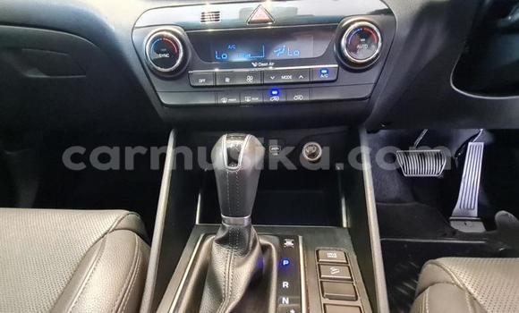 Tenga Tsaru Hyundai Tucson Bhuruu Mota in Beitbridge in Matabeleland South Tenga Tsaru Hyundai Tucson Bhuruu Mota in Beitbridge in Matabeleland South