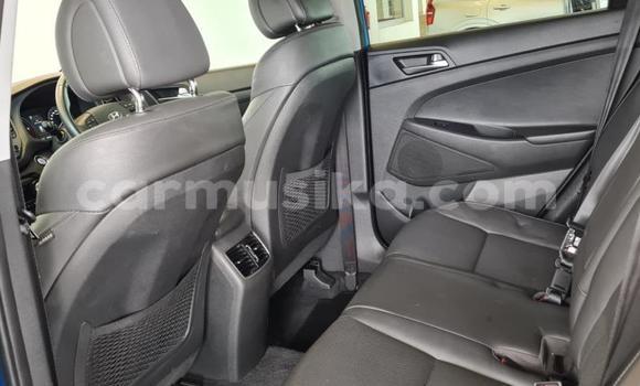 Tenga Tsaru Hyundai Tucson Bhuruu Mota in Beitbridge in Matabeleland South Tenga Tsaru Hyundai Tucson Bhuruu Mota in Beitbridge in Matabeleland South