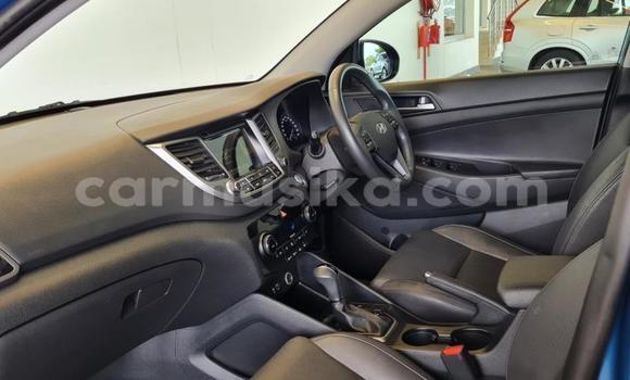 Tenga Tsaru Hyundai Tucson Bhuruu Mota in Beitbridge in Matabeleland South Tenga Tsaru Hyundai Tucson Bhuruu Mota in Beitbridge in Matabeleland South