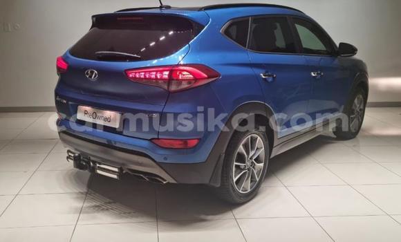 Tenga Tsaru Hyundai Tucson Bhuruu Mota in Beitbridge in Matabeleland South Tenga Tsaru Hyundai Tucson Bhuruu Mota in Beitbridge in Matabeleland South
