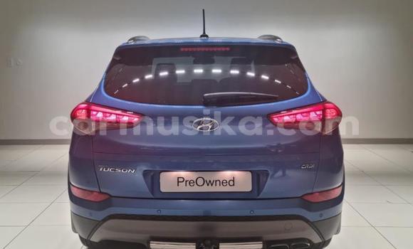 Tenga Tsaru Hyundai Tucson Bhuruu Mota in Beitbridge in Matabeleland South Tenga Tsaru Hyundai Tucson Bhuruu Mota in Beitbridge in Matabeleland South