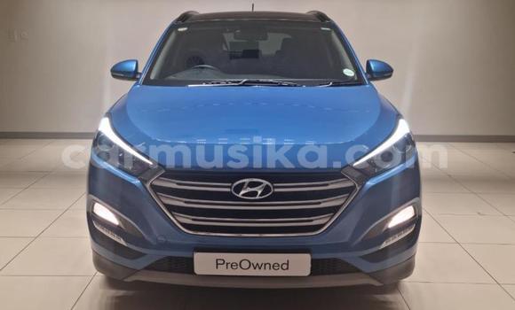 Tenga Tsaru Hyundai Tucson Bhuruu Mota in Beitbridge in Matabeleland South Tenga Tsaru Hyundai Tucson Bhuruu Mota in Beitbridge in Matabeleland South
