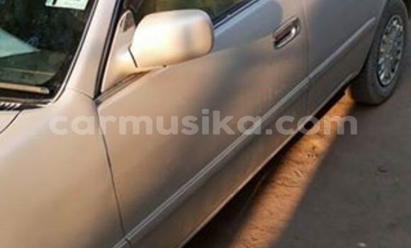 Tenga Tsaru Toyota Corolla Sirivha Mota in Alexandra Park in Harare Tenga Tsaru Toyota Corolla Sirivha Mota in Alexandra Park in Harare