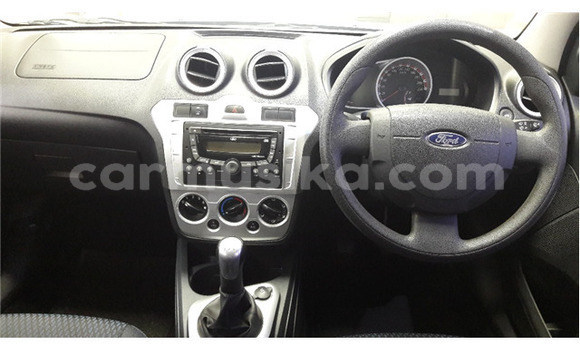 Tenga Tsaru Ford Fiesta Bhuruu Mota in Beitbridge in Matabeleland South Tenga Tsaru Ford Fiesta Bhuruu Mota in Beitbridge in Matabeleland South