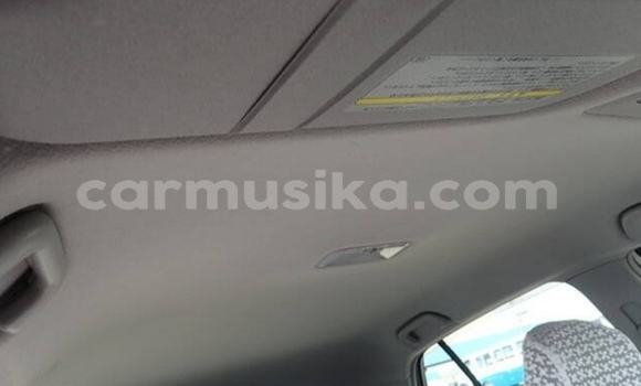 Acheter Occasion Voiture Toyota Vitz Gris à Beitbridge, Matabeleland South Acheter Occasion Voiture Toyota Vitz Gris à Beitbridge, Matabeleland South