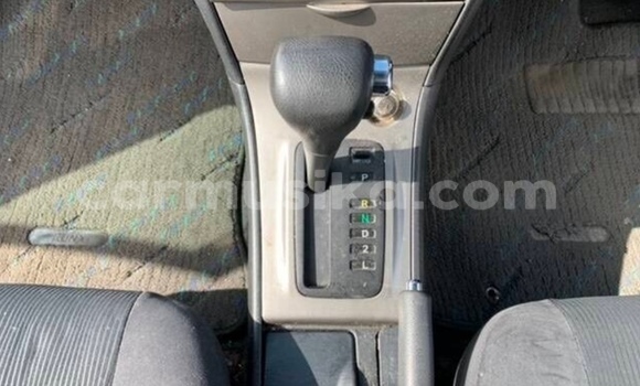 Acheter Occasion Voiture Toyota Runx Bleu à Beitbridge, Matabeleland South Acheter Occasion Voiture Toyota Runx Bleu à Beitbridge, Matabeleland South