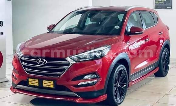 Tenga Tsaru Hyundai Tucson Tsvuku Mota in Beitbridge in Matabeleland South Tenga Tsaru Hyundai Tucson Tsvuku Mota in Beitbridge in Matabeleland South