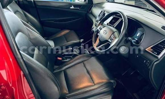 Tenga Tsaru Hyundai Tucson Tsvuku Mota in Beitbridge in Matabeleland South Tenga Tsaru Hyundai Tucson Tsvuku Mota in Beitbridge in Matabeleland South