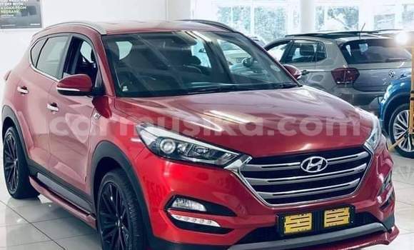 Tenga Tsaru Hyundai Tucson Tsvuku Mota in Beitbridge in Matabeleland South Tenga Tsaru Hyundai Tucson Tsvuku Mota in Beitbridge in Matabeleland South