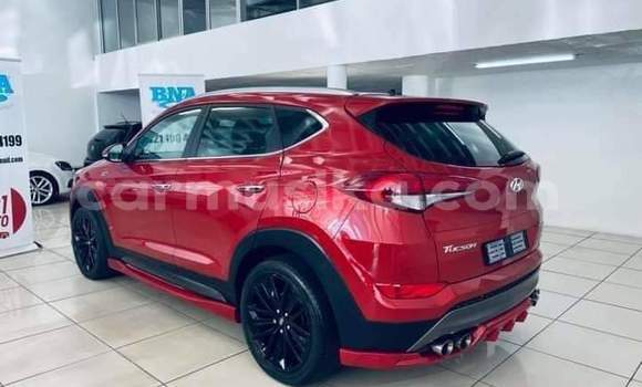 Tenga Tsaru Hyundai Tucson Tsvuku Mota in Beitbridge in Matabeleland South Tenga Tsaru Hyundai Tucson Tsvuku Mota in Beitbridge in Matabeleland South