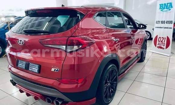 Tenga Tsaru Hyundai Tucson Tsvuku Mota in Beitbridge in Matabeleland South Tenga Tsaru Hyundai Tucson Tsvuku Mota in Beitbridge in Matabeleland South