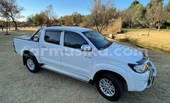 Acheter Occasion Voiture Toyota Hilux Blanc à Beitbridge, Matabeleland South Acheter Occasion Voiture Toyota Hilux Blanc à Beitbridge, Matabeleland South