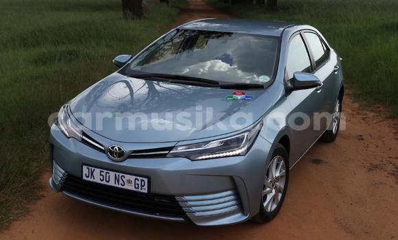 Acheter Occasion Voiture Toyota Corolla Bleu à Beitbridge, Matabeleland South