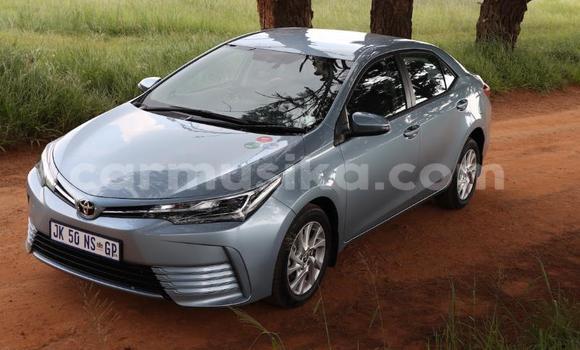 Acheter Occasion Voiture Toyota Corolla Bleu à Beitbridge, Matabeleland South Acheter Occasion Voiture Toyota Corolla Bleu à Beitbridge, Matabeleland South