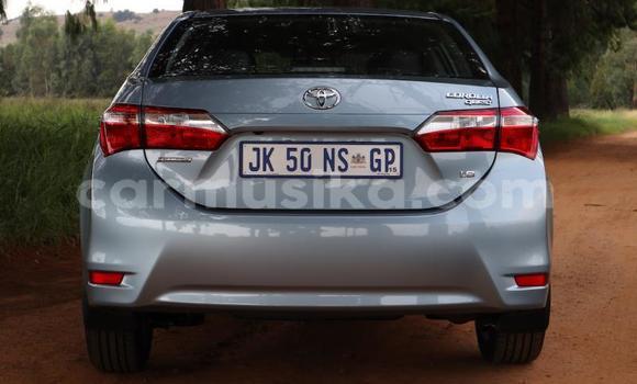 Acheter Occasion Voiture Toyota Corolla Bleu à Beitbridge, Matabeleland South Acheter Occasion Voiture Toyota Corolla Bleu à Beitbridge, Matabeleland South