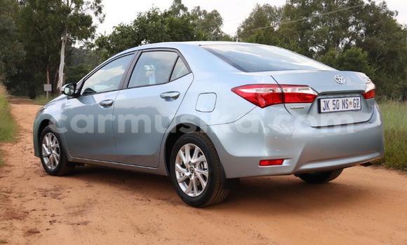 Acheter Occasion Voiture Toyota Corolla Bleu à Beitbridge, Matabeleland South Acheter Occasion Voiture Toyota Corolla Bleu à Beitbridge, Matabeleland South