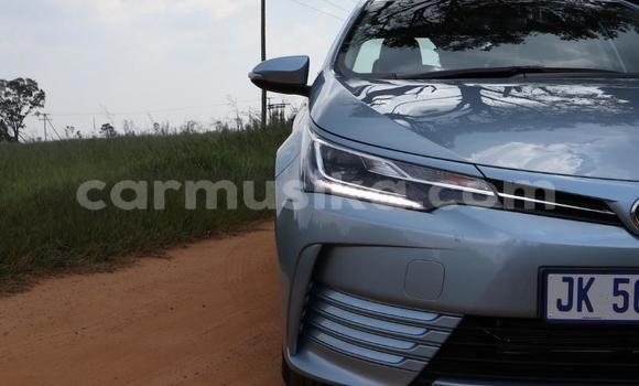 Acheter Occasion Voiture Toyota Corolla Bleu à Beitbridge, Matabeleland South Acheter Occasion Voiture Toyota Corolla Bleu à Beitbridge, Matabeleland South