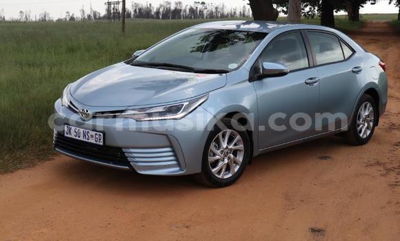 Acheter Occasion Voiture Toyota Corolla Bleu à Beitbridge, Matabeleland South Acheter Occasion Voiture Toyota Corolla Bleu à Beitbridge, Matabeleland South