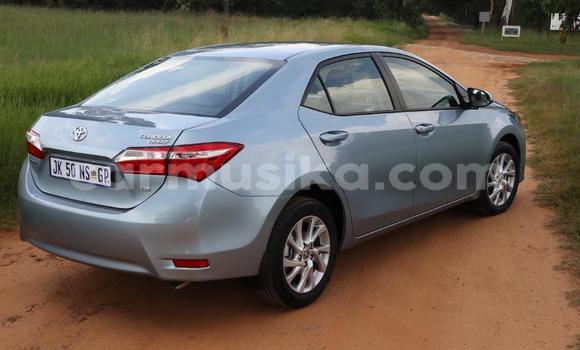 Acheter Occasion Voiture Toyota Corolla Bleu à Beitbridge, Matabeleland South Acheter Occasion Voiture Toyota Corolla Bleu à Beitbridge, Matabeleland South