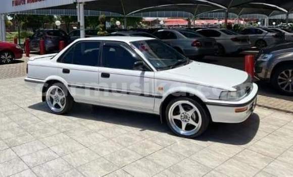 Tenga Tsaru Toyota Corolla Chena Mota in Beitbridge in Matabeleland South