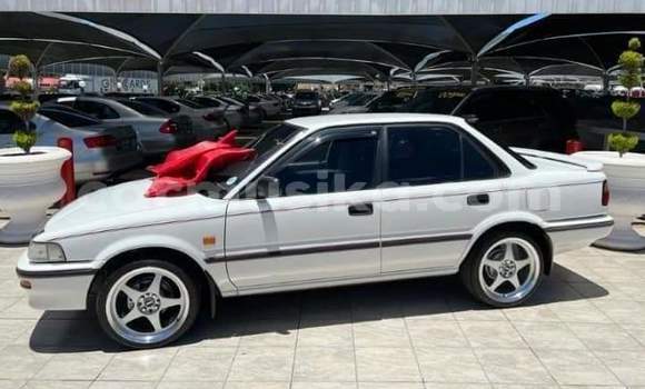 Buy Used Toyota Corolla White Car in Beitbridge in Matabeleland South Buy Used Toyota Corolla White Car in Beitbridge in Matabeleland South