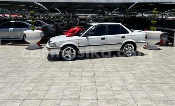 Buy Used Toyota Corolla White Car in Beitbridge in Matabeleland South Buy Used Toyota Corolla White Car in Beitbridge in Matabeleland South