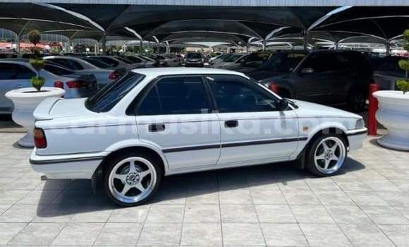 Buy Used Toyota Corolla White Car in Beitbridge in Matabeleland South Buy Used Toyota Corolla White Car in Beitbridge in Matabeleland South