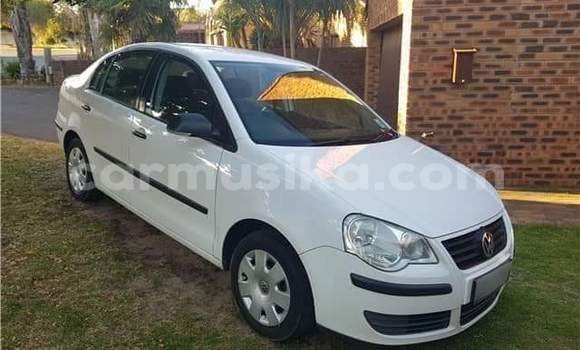 Acheter Occasion Voiture Volkswagen Polo Blanc à Beitbridge, Matabeleland South
