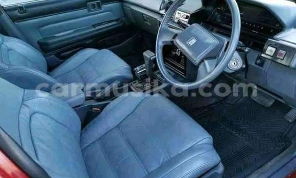 Tenga Tsaru Toyota Cressida Zvimwe Mota in Beitbridge in Matabeleland South Tenga Tsaru Toyota Cressida Zvimwe Mota in Beitbridge in Matabeleland South