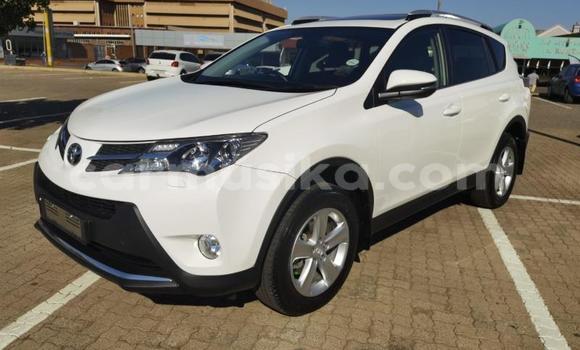 Buy Used Toyota RAV4 White Car in Beitbridge in Matabeleland South Buy Used Toyota RAV4 White Car in Beitbridge in Matabeleland South