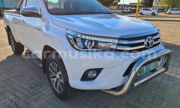 Tenga Tsaru Toyota Hilux Chena Mota in Beitbridge in Matabeleland South