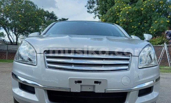 Buy Used Nissan Dualis Silver Car in Harare in Harare Buy Used Nissan Dualis Silver Car in Harare in Harare