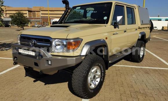 Tenga Tsaru Toyota Land Cruiser Zvimwe Mota in Beitbridge in Matabeleland South