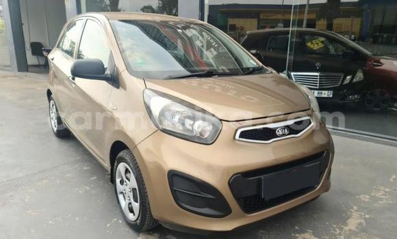 Nunua Ilio tumika Kia Picanto Brown Gari ndani ya Beitbridge nchini Matabeleland Kusini